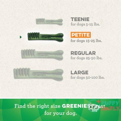 Greenies Petite Dental Dog Treats 355103