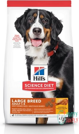 Hill's Science Diet Adult Large 1414462
