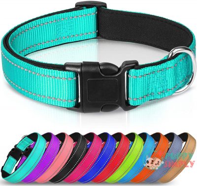 Joytale Reflective Dog Collar,12 Colors,Soft B08CK6KBLV