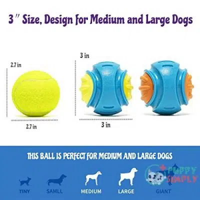 Lakerwin Squeaky Dog Toy Balls B09BCMHH5N2