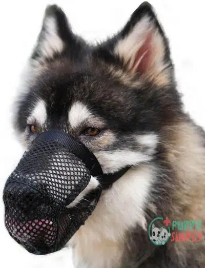 Mayerzon Breathable Mesh Dog Muzzle, B08FG3QNKF