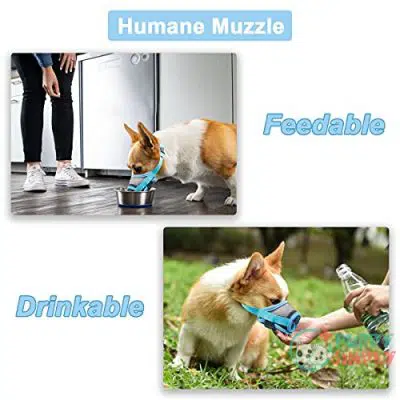 Mayerzon Dog Muzzle with Adjustable B0982WF7HZ3