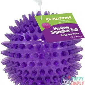 Medium Squeaker Ball Dog Toy, B00EPDRJUW