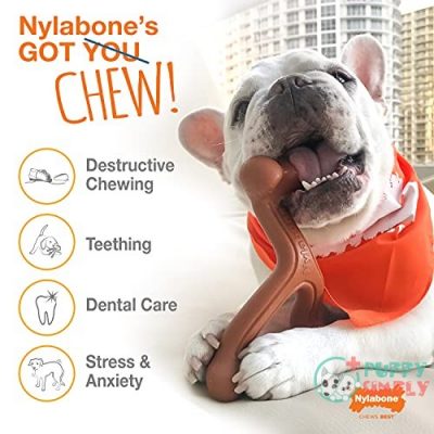 Nylabone Power Chew Textured Dog B003SN5YKC2