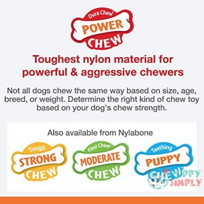 Nylabone Power Chew Textured Dog B003SN5YKC3