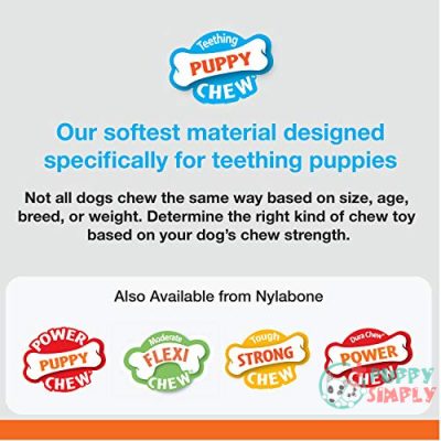 Nylabone Puppy Chew Toys for B0017JBYAS3