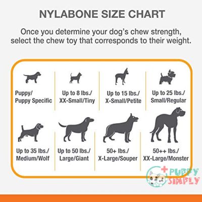 Nylabone Puppy Chew Toys for B0017JBYAS4