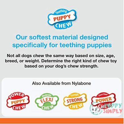 Nylabone X-Shaped Dog Bone Chew B01H507WPS4