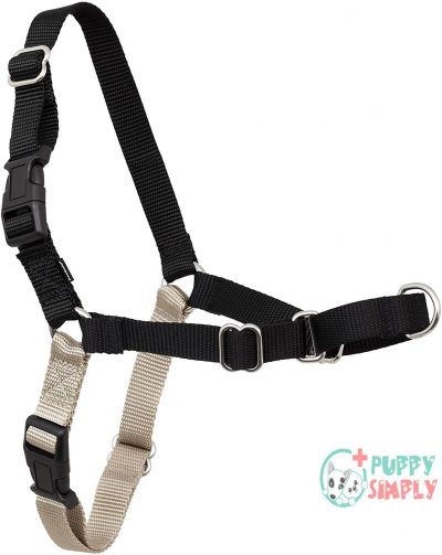 PetSafe Easy Walk Dog Harness, B0009ZD3QY