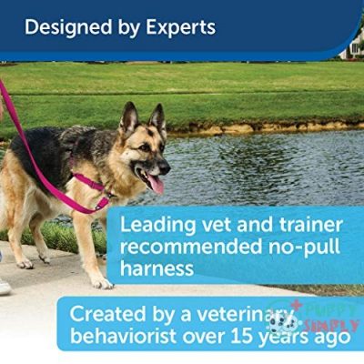 PetSafe Easy Walk Dog Harness, B0009ZD3QY2