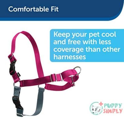 PetSafe Easy Walk Dog Harness, B0009ZD3QY3