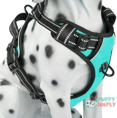 PoyPet No Pull Dog Harness, B089CK15GM