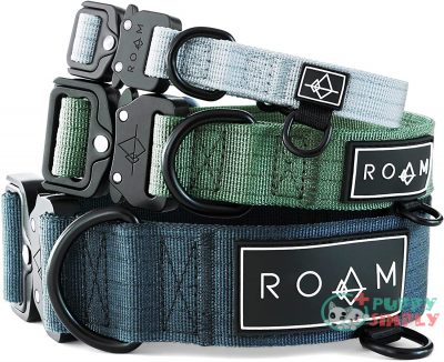 ROAM Premium Dog Collar - B0916MPWHX