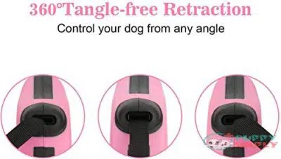Retractable Dog Leash, Pet Walking B08LMTJQC23