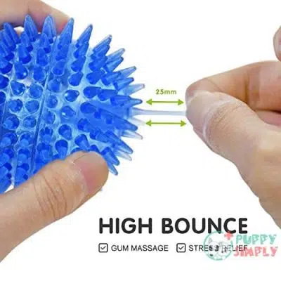 SHARLOVY Squeaky Balls for Dogs B07RN7TW9H5