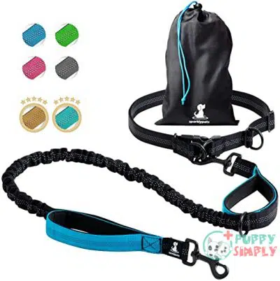 SparklyPets Hands-Free Dog Leash for B01K513BN6