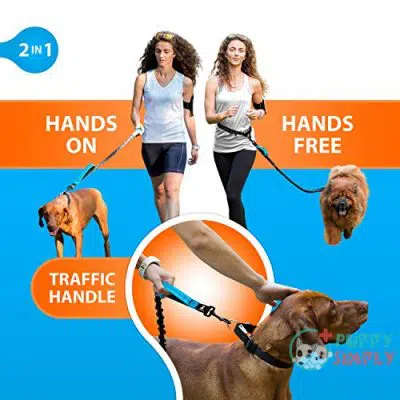SparklyPets Hands-Free Dog Leash for B01K513BN64
