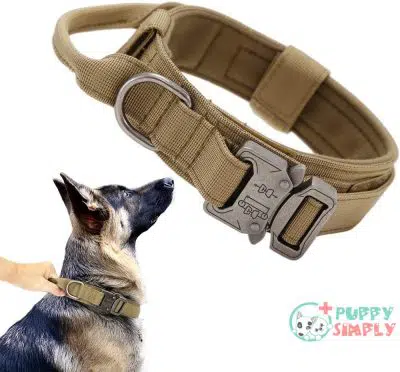 Tactical Dog Collar Military Dog B08Y1LXPYR
