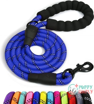 Taglory Rope Dog Leash 4 B095C99JH8