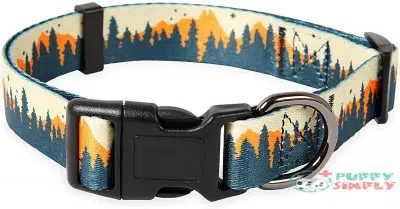 Timos Dog Collar for Small B08KT86T31