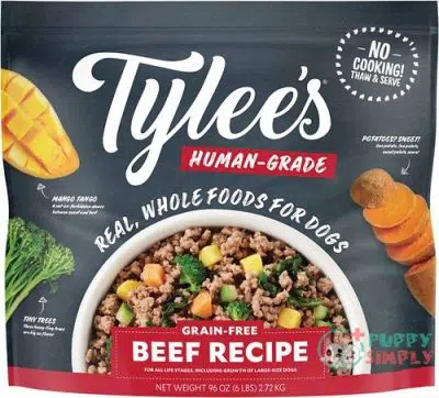 Tylee's Human-Grade Beef Recipe Frozen 135799