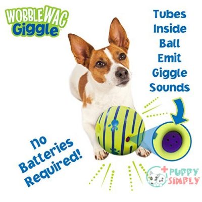 Wobble Wag Giggle Ball, Interactive B00PQ5UH0C2