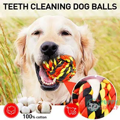 XL Dog Chew Toys for B092ZPCP5Q3