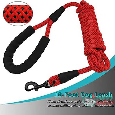BTINESFUL 10ft Rope Dog Leash, B099NDN3H24