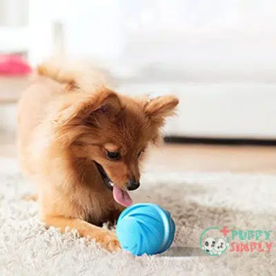 Cheerble Dog Ball Toy Interactive B094NHGLQ12