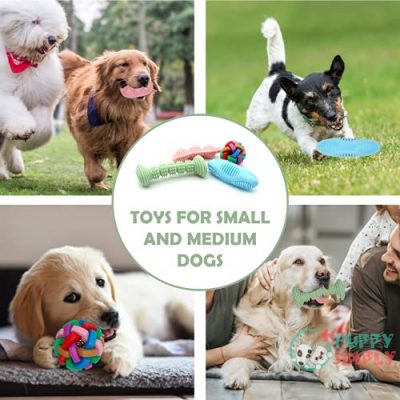 Dog Chew Toy for Small B09BCM4MD34
