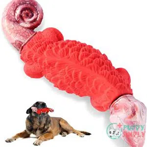 Dog Chew Toys for Aggressive B09FGVYR3K