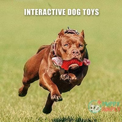Dog Chew Toys for Aggressive B09FGVYR3K3
