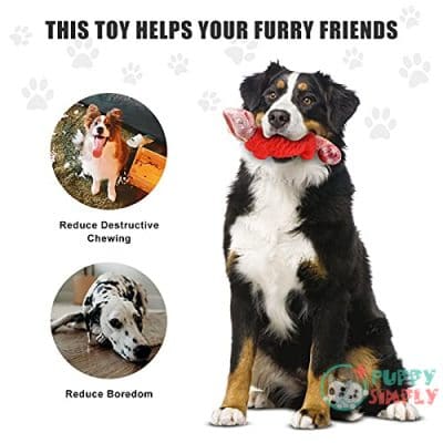 Dog Chew Toys for Aggressive B09FGVYR3K4