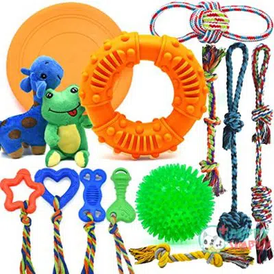 Dog Chew Toys for Puppies B0859QZD6F