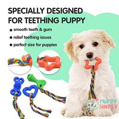 Dog Chew Toys for Puppies B0859QZD6F3
