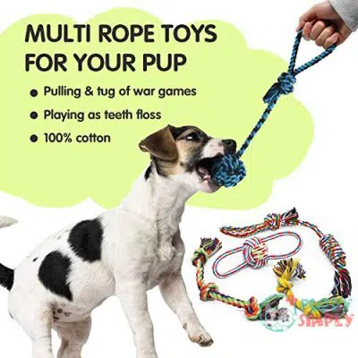 Dog Chew Toys for Puppies B0859QZD6F4