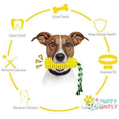 Dog Chew Toys Puppy Toothbrush B08RB35CCV3