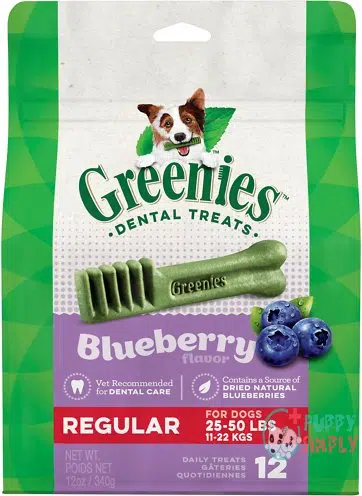 Greenies Bursting Blueberry Regular Dental 113458