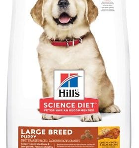 Hill's Science Diet Puppy Large 29997