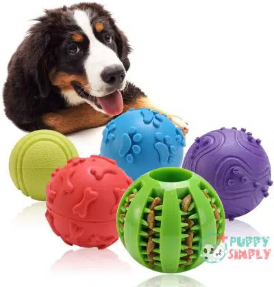 Interactive Dog Toys Ball - B087Q8SVHZ