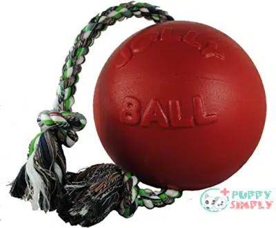 Jolly Pets Romp-n-Roll Rope and B000HHSK2G