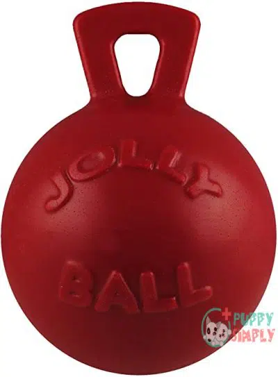 Jolly Pets Tug-N-Toss Dog Toy B0006G581O