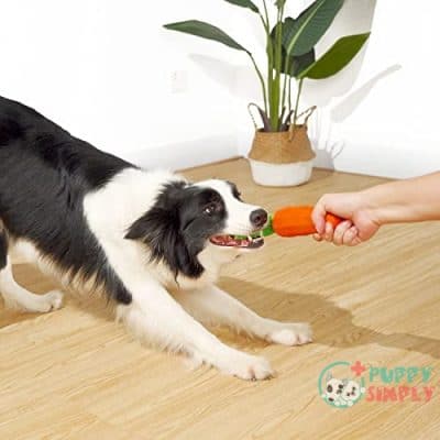MewaJump Dog Squeaky Chew Toy B0982NNRGT4