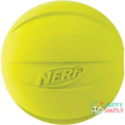 Nerf Dog Squeak Ball, Large B00EUV6UGI