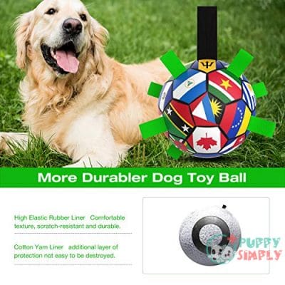NOUGAT Dog Toys, Interactive Dog B08V87NQ883