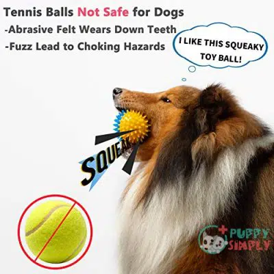 Petdoer Squeaky Dog Toy Balls B094CVQT2H3