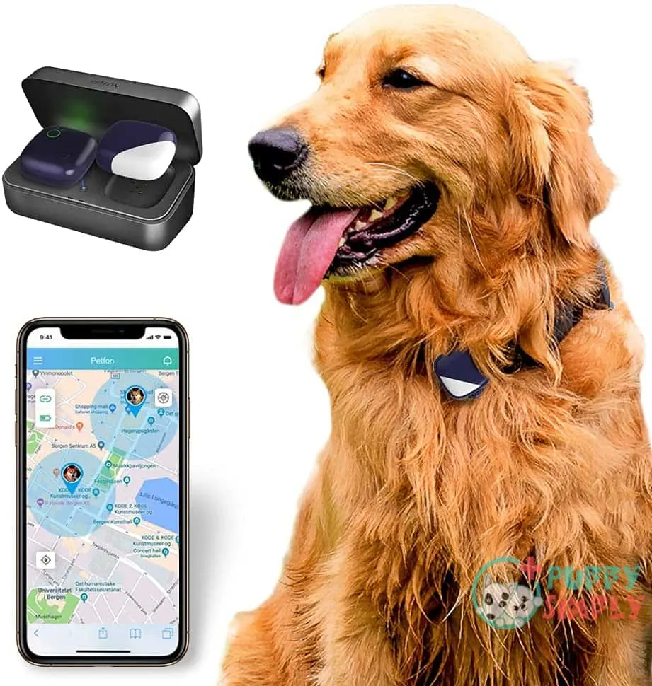 PETFON Pet GPS Tracker, No