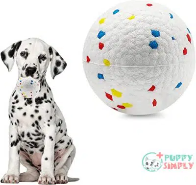 PetsLA Dog Ball Toys for B0962YT2JD