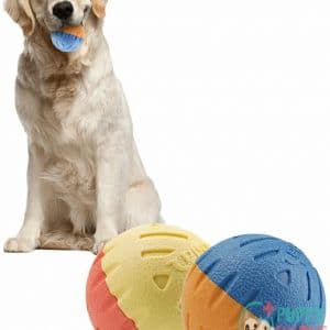 PetsLA Dog Ball Toys for B09C8D7TPF