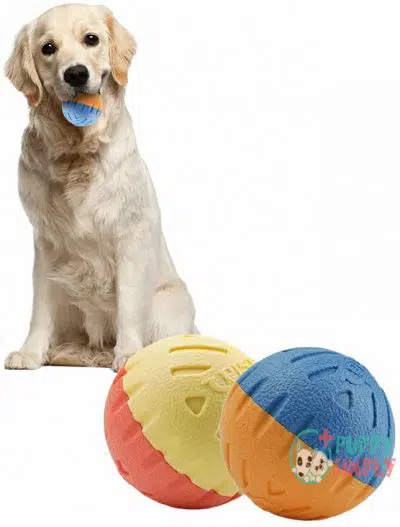 PetsLA Dog Ball Toys for B09C8D7TPF